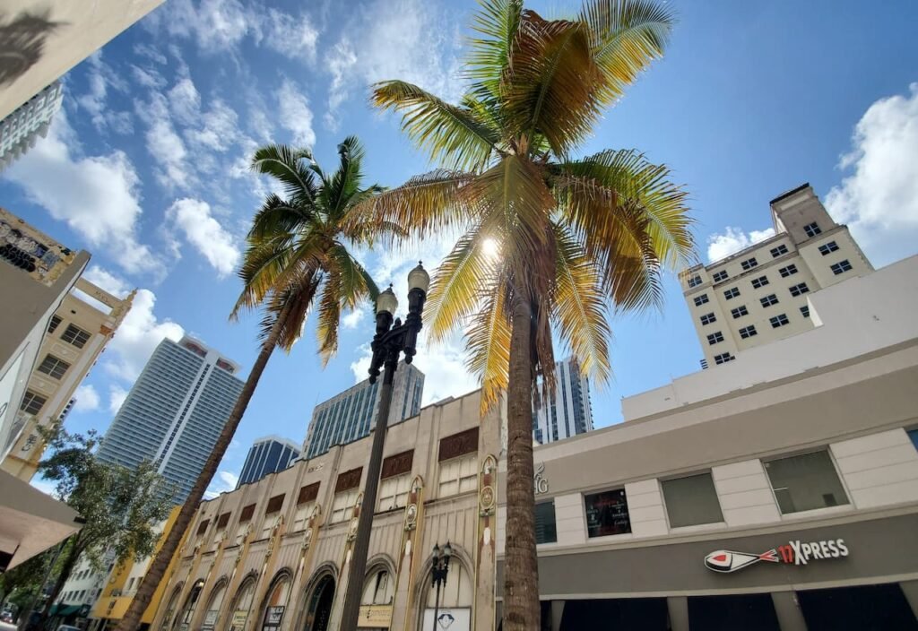 Thumbnail-For-Downtown-Miami-Busines-Districts-By-Sushi KONG
