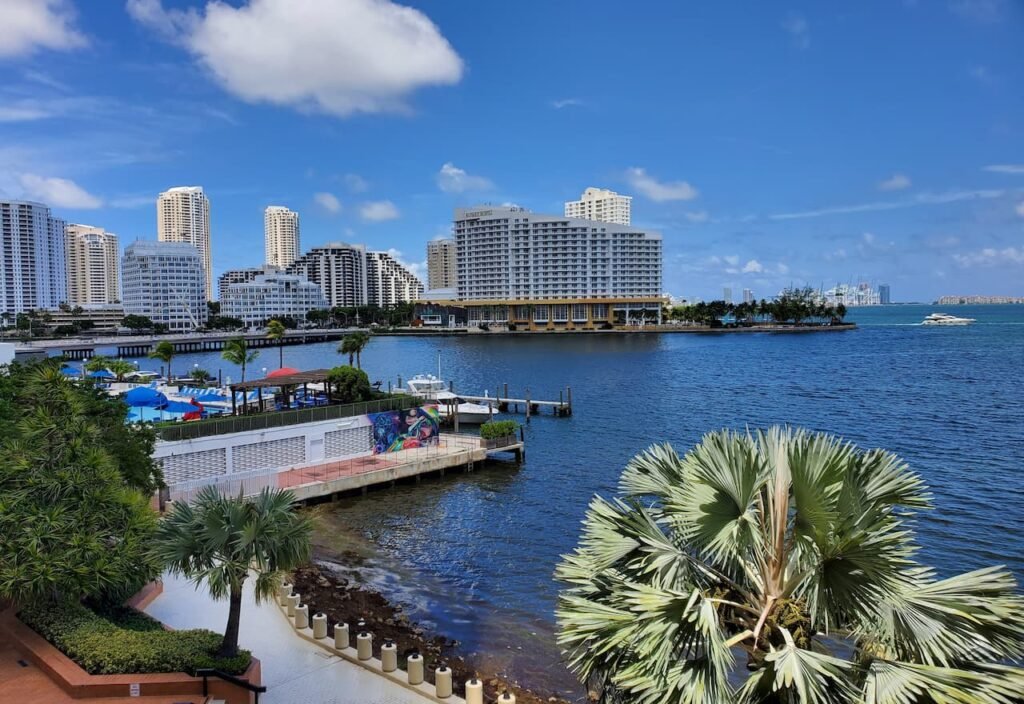 Thumbnail-For-Downtown-Miami-Shore-By-Sushi KONG